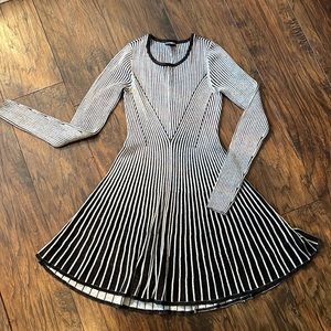Express Sweater Dress